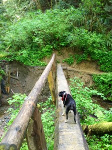 FullSizeRender (1020) - Copy