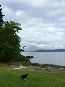 FullSizeRender (1021) - Copy