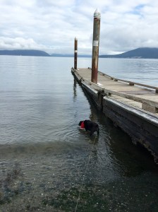 FullSizeRender (1022) - Copy