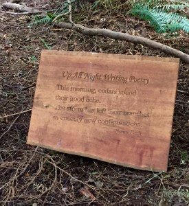 FullSizeRender (1025) - Copy