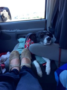 FullSizeRender (1036) - Copy