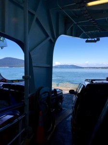 FullSizeRender (1037) - Copy