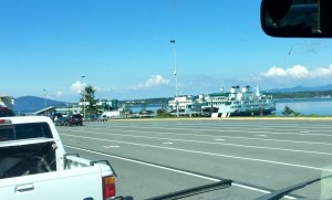 FullSizeRender (1038) - Copy