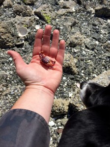 FullSizeRender (1048) - Copy