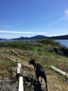 FullSizeRender (1050) - Copy