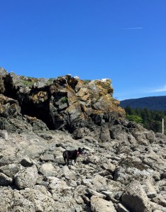 FullSizeRender (1051) - Copy