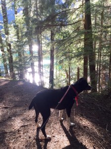 FullSizeRender (1059) - Copy