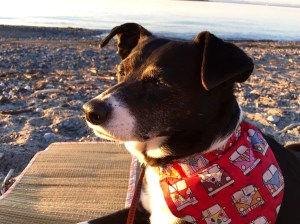 FullSizeRender (1060) - Copy