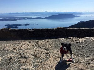 FullSizeRender (1070) - Copy