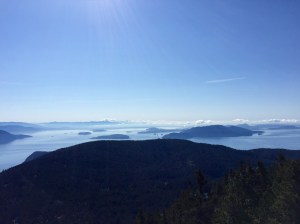 FullSizeRender (1073) - Copy