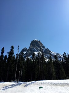 FullSizeRender (1074) - Copy