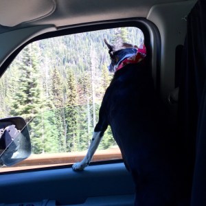 FullSizeRender (1076) - Copy