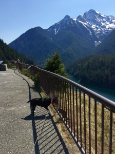 FullSizeRender (1085) - Copy