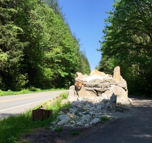 FullSizeRender (1087) - Copy