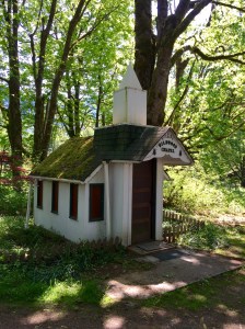 FullSizeRender (1089) - Copy