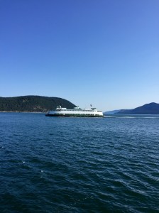 FullSizeRender (1097) - Copy