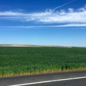 FullSizeRender (1102) - Copy