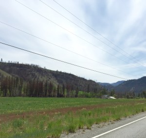 FullSizeRender (1104) - Copy