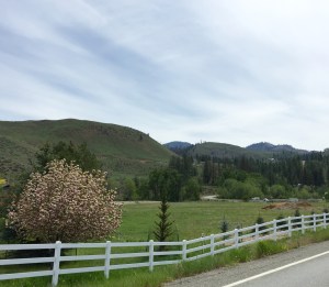 FullSizeRender (1105) - Copy