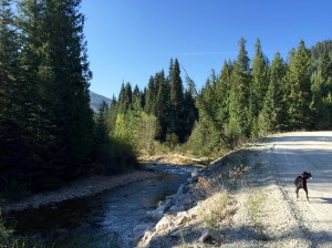 FullSizeRender (1117) - Copy