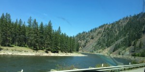 FullSizeRender (1119) - Copy