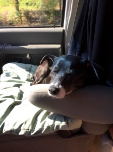 FullSizeRender (1122) - Copy