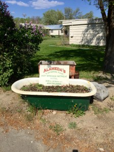 FullSizeRender (1124) - Copy