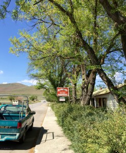 FullSizeRender (1125) - Copy