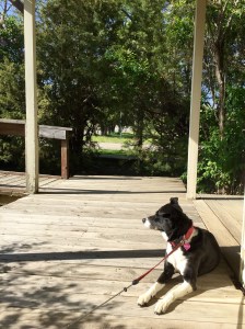 FullSizeRender (1128) - Copy