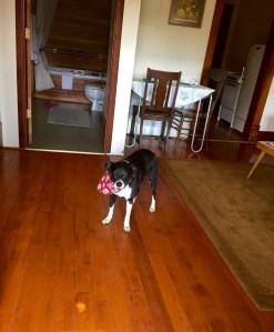 FullSizeRender (1129) - Copy