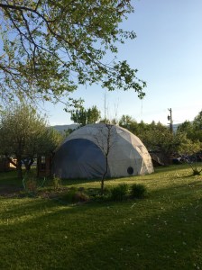 FullSizeRender (1131) - Copy