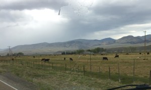 FullSizeRender (1146) - Copy