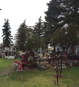 FullSizeRender (1154) - Copy