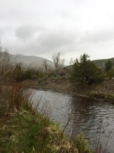 FullSizeRender (1158) - Copy