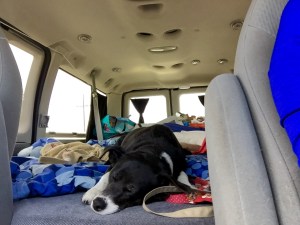 FullSizeRender (1165) - Copy