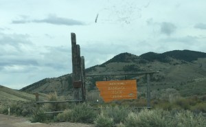 FullSizeRender (1175) - Copy