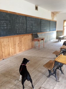 FullSizeRender (1178) - Copy