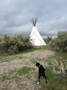 FullSizeRender (1181) - Copy