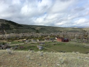 FullSizeRender (1186) - Copy