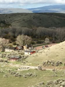 FullSizeRender (1187) - Copy