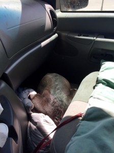 FullSizeRender (1190) - Copy