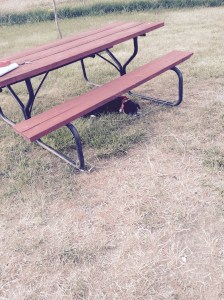 FullSizeRender (1197) - Copy