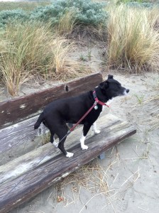 FullSizeRender (856) - Copy