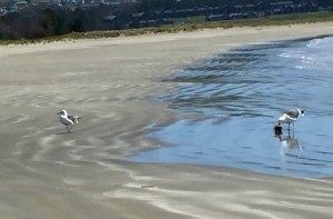 FullSizeRender (859) - Copy