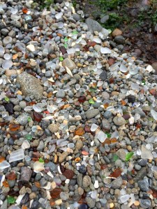 FullSizeRender (863) - Copy