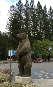 FullSizeRender (867) - Copy