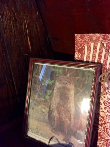 FullSizeRender (869) - Copy