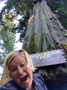 FullSizeRender (871) - Copy