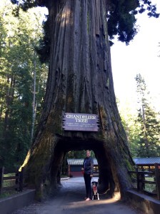 FullSizeRender (872) - Copy