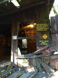 FullSizeRender (874) - Copy